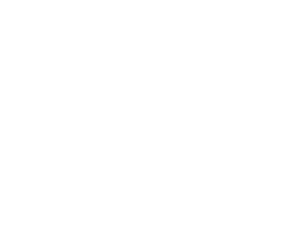 ALDO BERNARDI