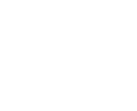 FONTINI LOGO