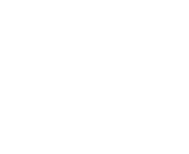 FOSCARINI LOGO