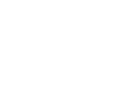 MEAN WELL LOGO