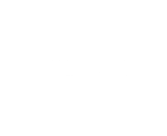 STILNOVO LOGO