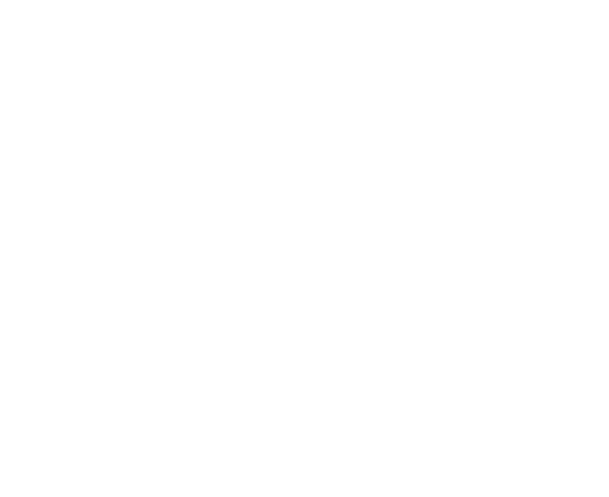 decolightlv_web_REDO_LOGO_WHITE