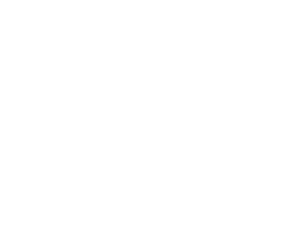 LZF LOGO