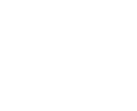 tossB LOGO 