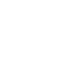 SIMON LOGO